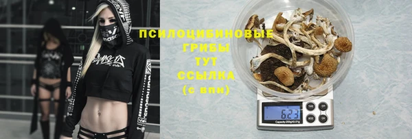 кристаллы Костерёво