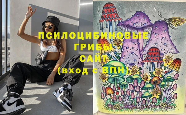 тгк Корсаков