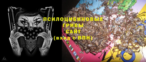 тгк Корсаков